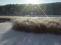 Winter Wonderland Mix