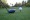 Golf Course Grass Seed Mix - Eco-Friendly!