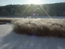 Winter Wonderland Mix