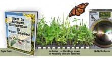 Butterfly and Bird Attracting Garden Starter Kit with Live Plant Plugs