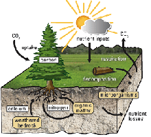 How PermaMatrix Biotic Soil Amendment Works