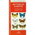 Butterflies & Moths - An Introduction to Familiar North American Species