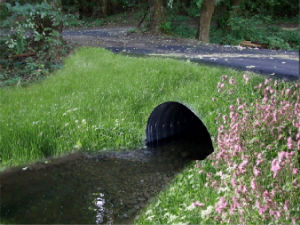 Site After PermaMatrix Application and Seed