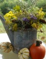Fall Blooming Wildflower Plant Kit